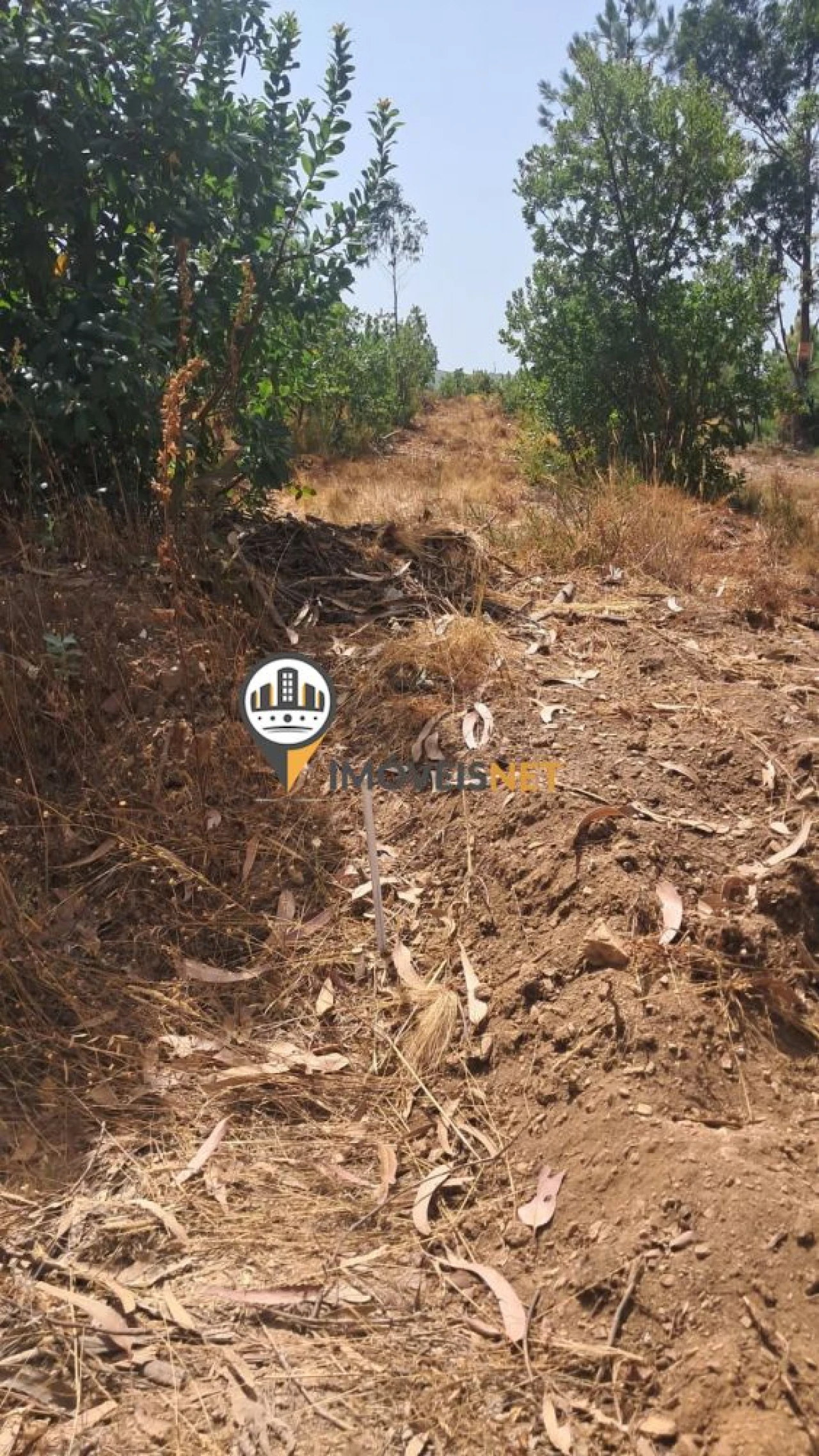 Terreno para Venda em Orvalho Foto 9