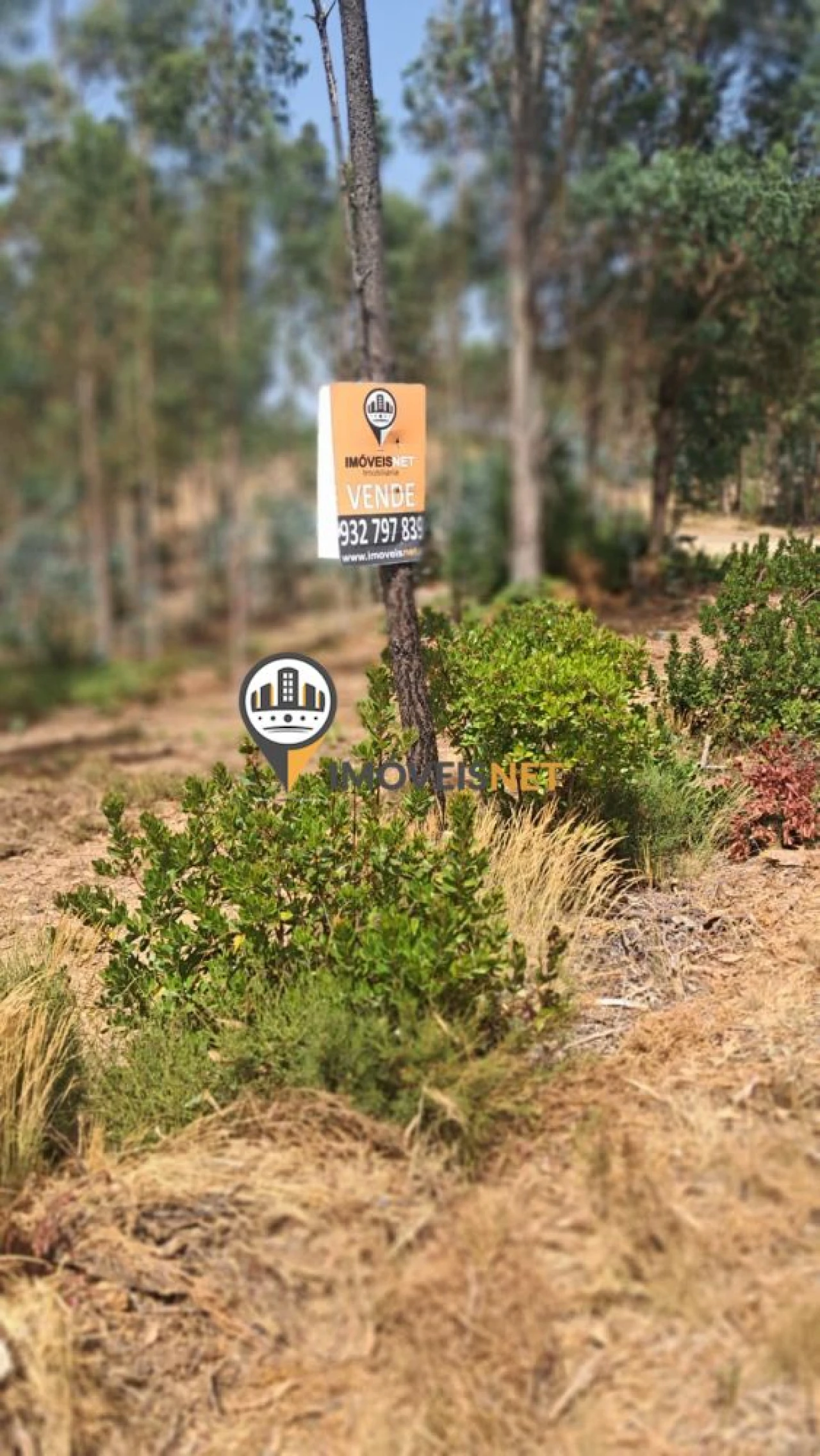 Terreno para Venda em Orvalho Foto 1