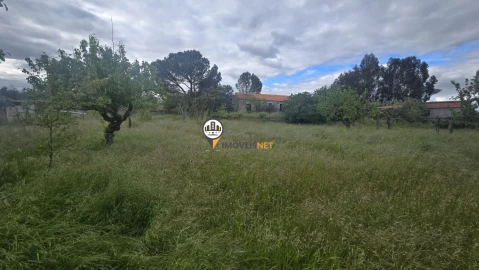 Quinta T1 para Venda em Póvoa de Rio de Moinhos e Cafede