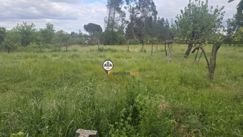 Quinta T1 para Venda em Póvoa de Rio de Moinhos e Cafede