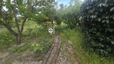 Quinta T1 para Venda em Póvoa de Rio de Moinhos e Cafede