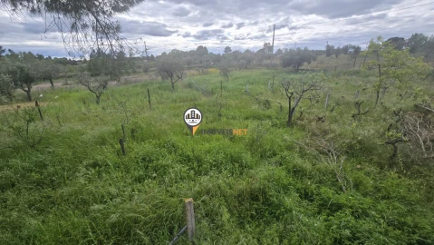 Quinta T1 para Venda em Póvoa de Rio de Moinhos e Cafede