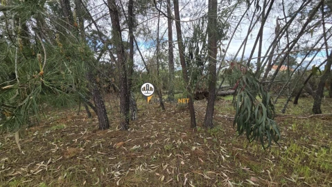 Quinta T1 para Venda em Póvoa de Rio de Moinhos e Cafede