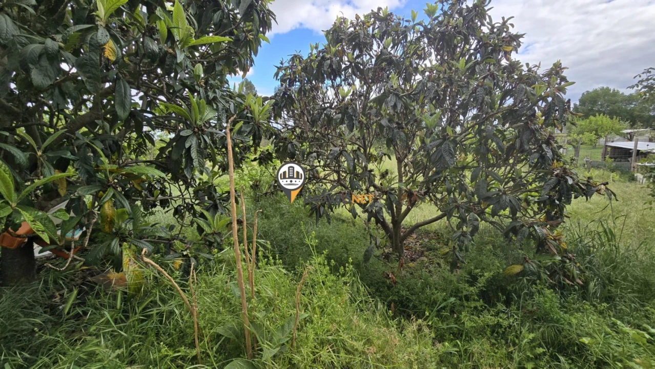 Quinta T1 para Venda em Póvoa de Rio de Moinhos e Cafede Foto 49