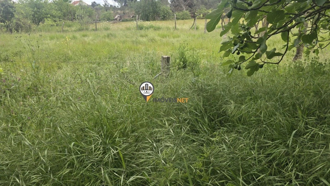 Quinta T1 para Venda em Póvoa de Rio de Moinhos e Cafede Foto 13