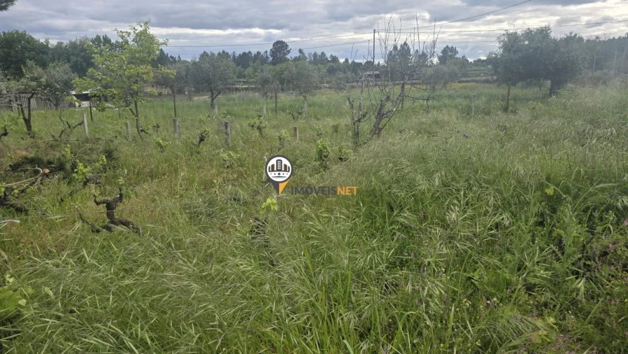 Quinta T1 para Venda em Póvoa de Rio de Moinhos e Cafede Foto 33