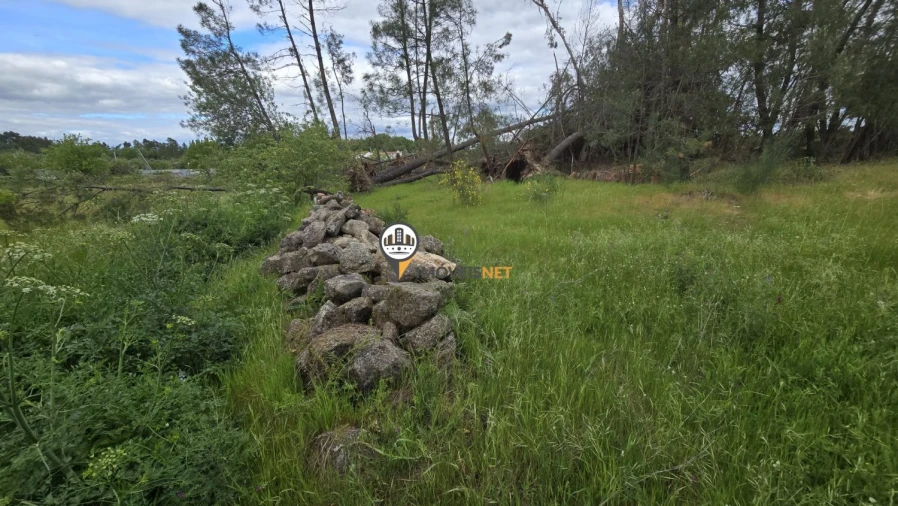 Quinta T1 para Venda em Póvoa de Rio de Moinhos e Cafede Foto 5