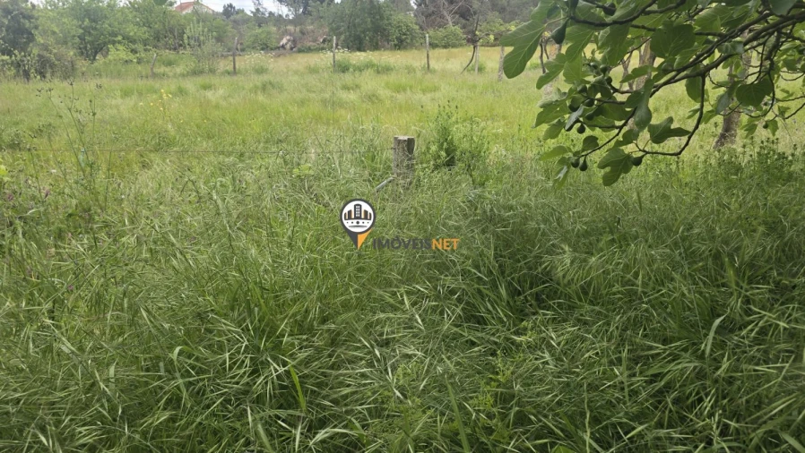 Quinta T1 para Venda em Póvoa de Rio de Moinhos e Cafede Foto 13