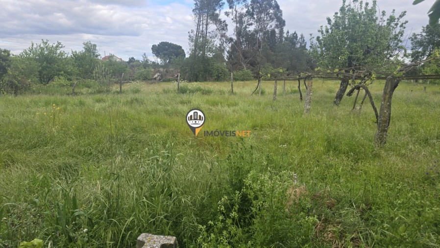 Quinta T1 para Venda em Póvoa de Rio de Moinhos e Cafede Foto 11