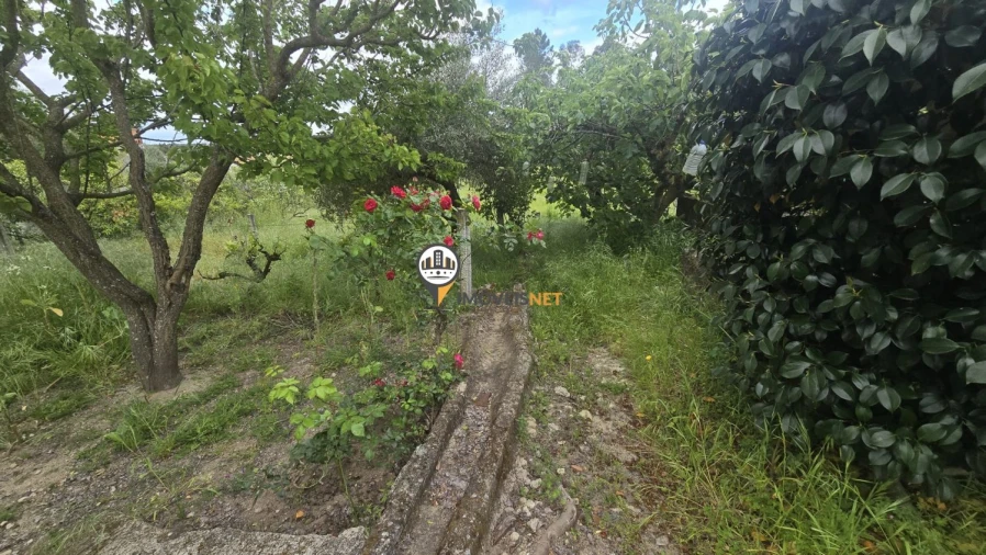 Quinta T1 para Venda em Póvoa de Rio de Moinhos e Cafede Foto 22