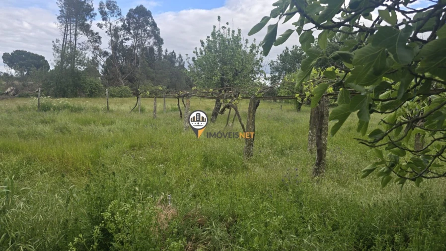 Quinta T1 para Venda em Póvoa de Rio de Moinhos e Cafede Foto 12