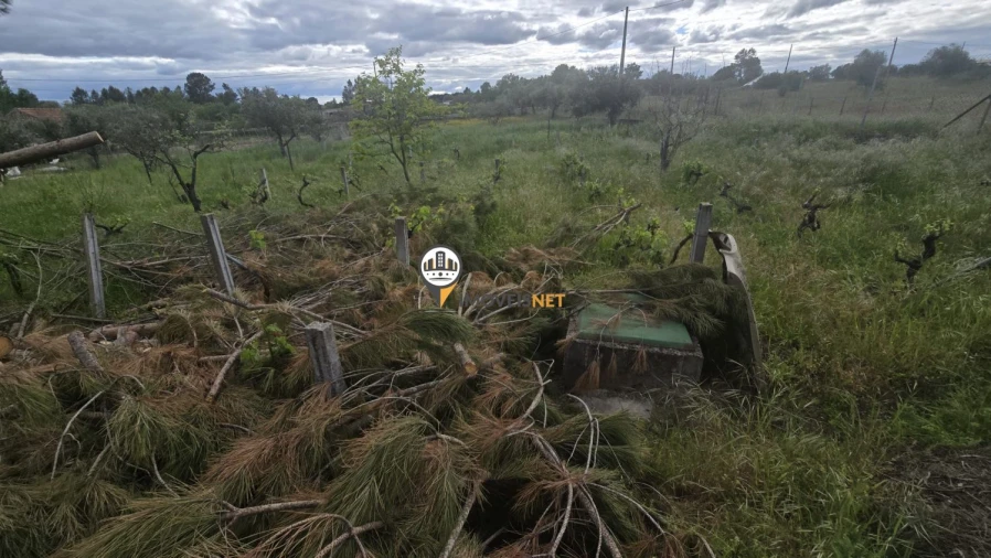 Quinta T1 para Venda em Póvoa de Rio de Moinhos e Cafede Foto 36