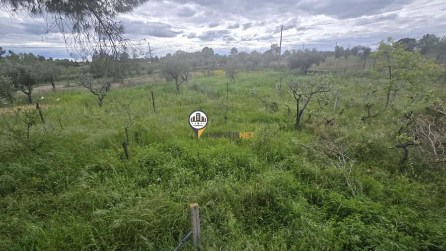 Quinta T1 para Venda em Póvoa de Rio de Moinhos e Cafede Foto 45