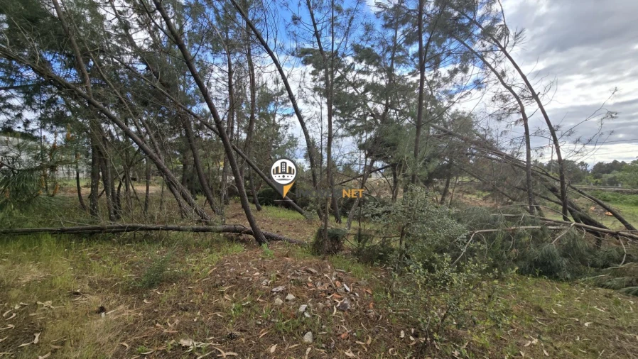 Quinta T1 para Venda em Póvoa de Rio de Moinhos e Cafede Foto 8