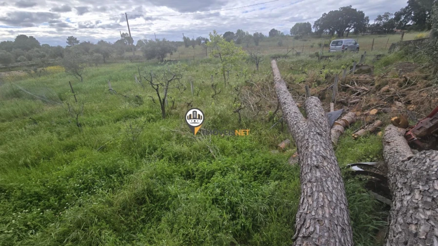 Quinta T1 para Venda em Póvoa de Rio de Moinhos e Cafede Foto 41