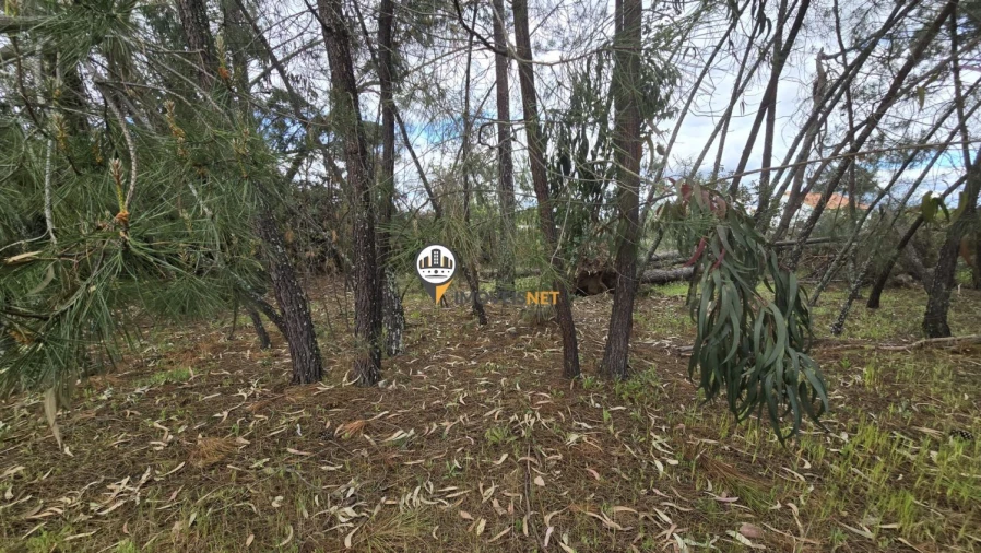 Quinta T1 para Venda em Póvoa de Rio de Moinhos e Cafede Foto 2