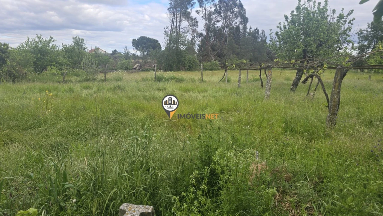 Quinta T1 para Venda em Póvoa de Rio de Moinhos e Cafede Foto 11