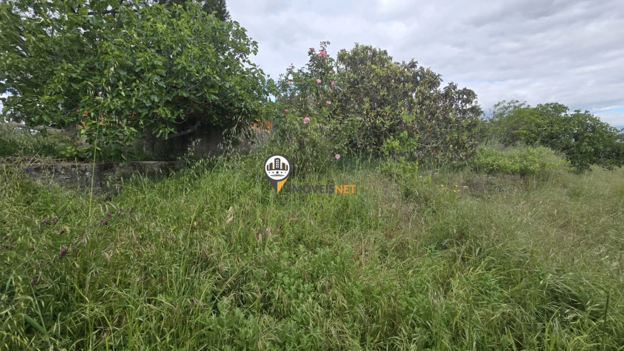 Quinta T1 para Venda em Póvoa de Rio de Moinhos e Cafede Foto 50