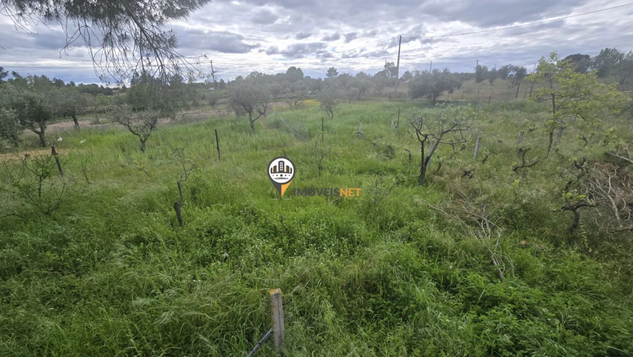 Quinta T1 para Venda em Póvoa de Rio de Moinhos e Cafede Foto 45