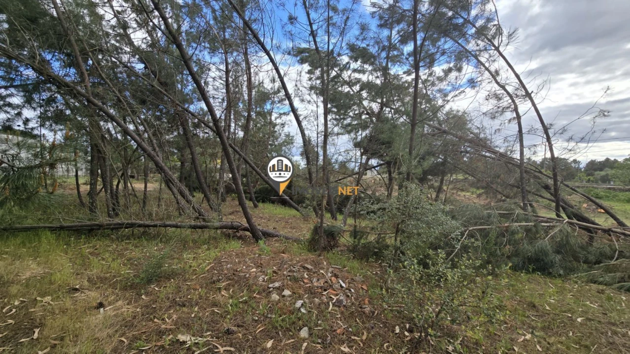 Quinta T1 para Venda em Póvoa de Rio de Moinhos e Cafede Foto 8