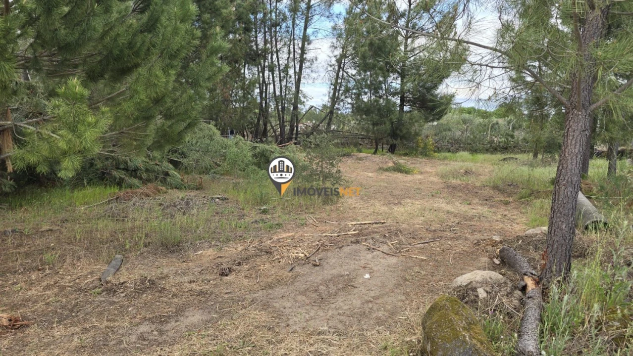 Quinta T1 para Venda em Póvoa de Rio de Moinhos e Cafede Foto 48