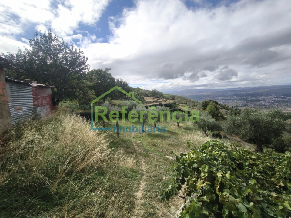 Moradia T2 para Venda em Eiras, São Julião de Montenegro e Cela Foto 27