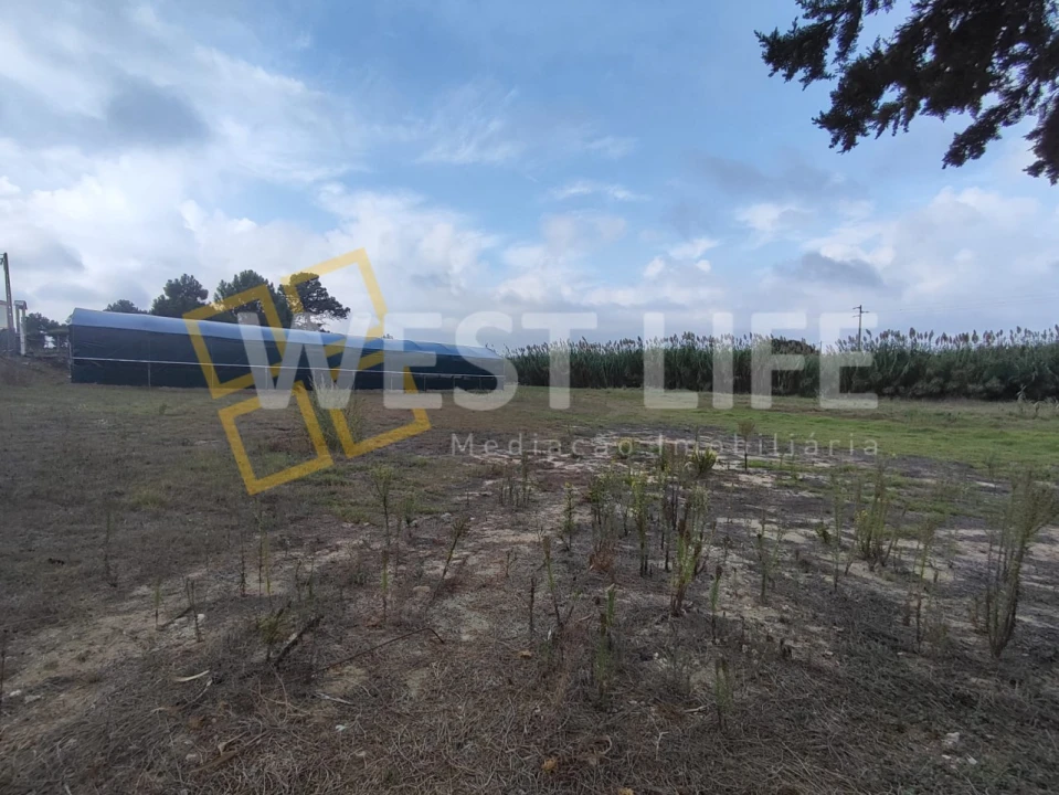 Terreno para Venda em Silveira Foto 1