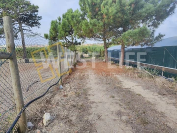 Terreno para Venda em Silveira