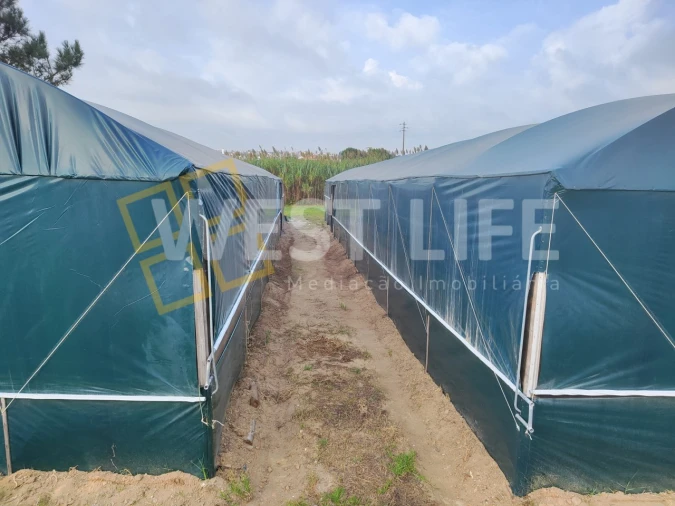 Terreno para Venda em Silveira Foto 3