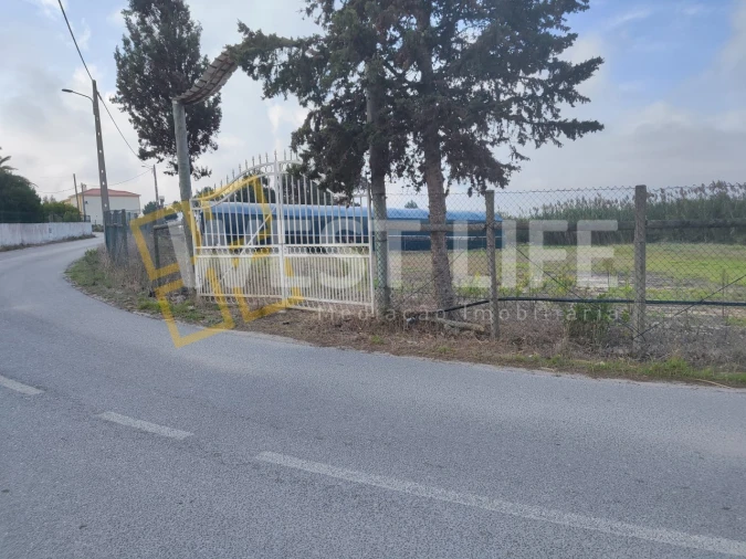 Terreno para Venda em Silveira Foto 12