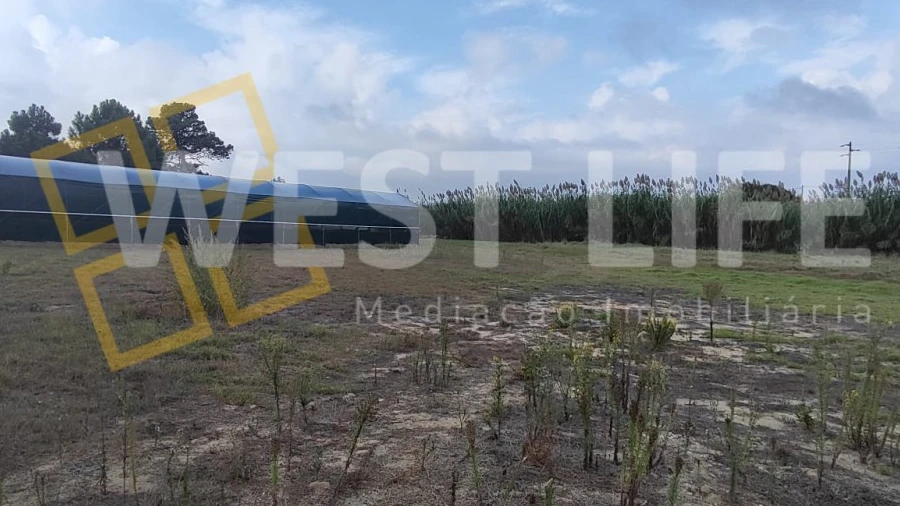 Terreno para Venda em Silveira