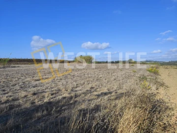 Terreno para Venda em Silveira