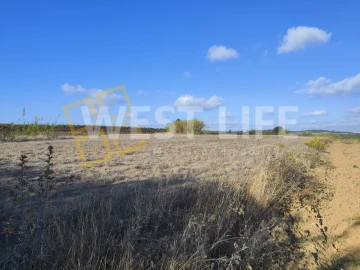 Terreno para Venda em Silveira