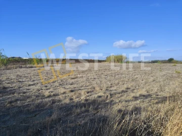 Terreno para Venda em Silveira