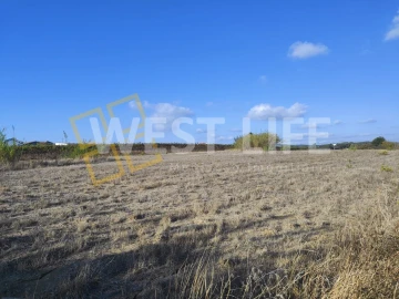 Terreno para Venda em Silveira