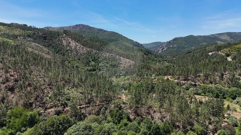 Terreno para Venda em Janeiro de Cima e Bogas de Baixo