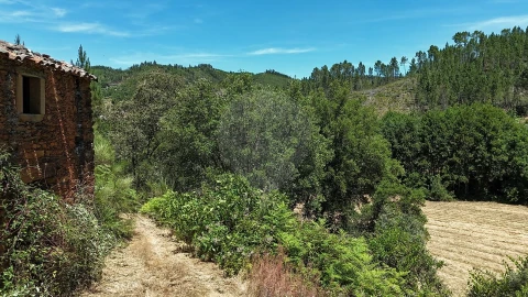 Terreno para Venda em Janeiro de Cima e Bogas de Baixo