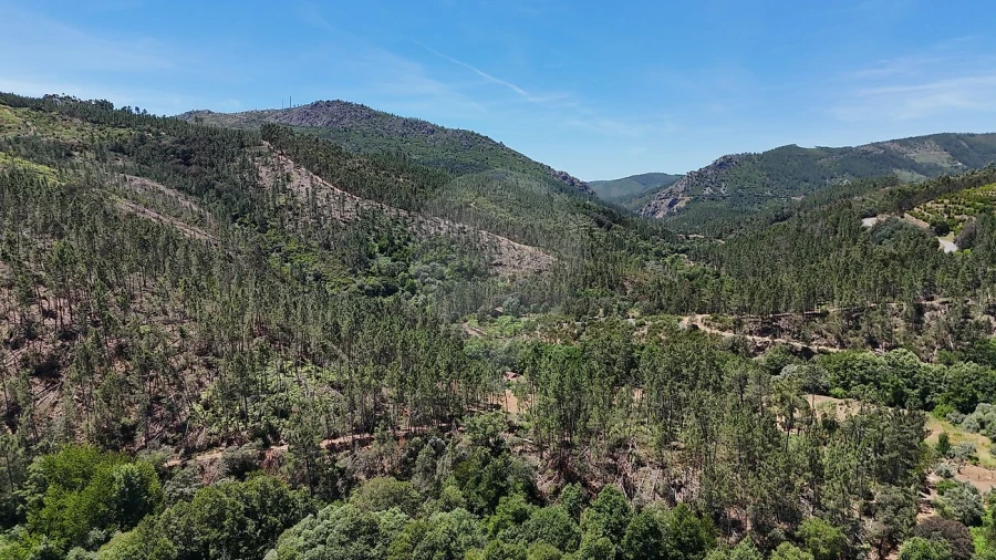 Terreno para Venda em Janeiro de Cima e Bogas de Baixo Foto 10