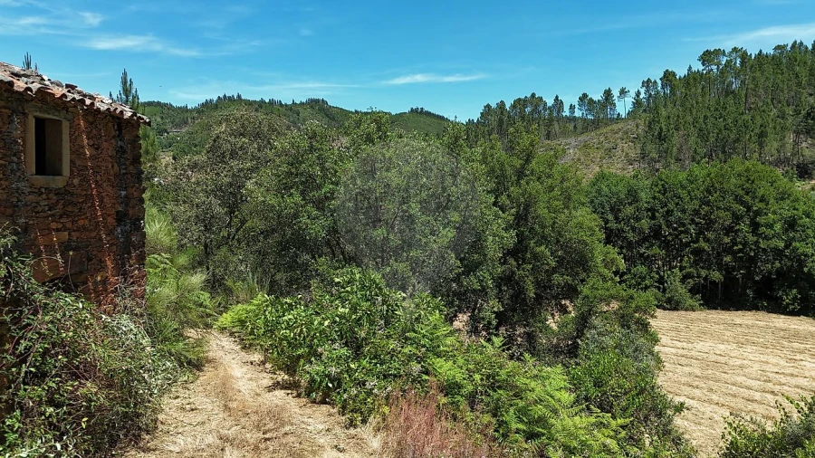 Terreno para Venda em Janeiro de Cima e Bogas de Baixo Foto 8