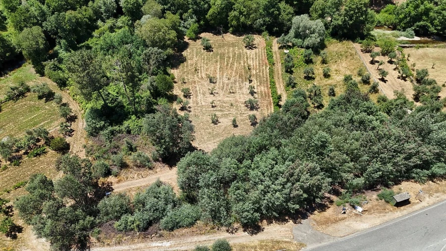 Terreno para Venda em Janeiro de Cima e Bogas de Baixo Foto 9