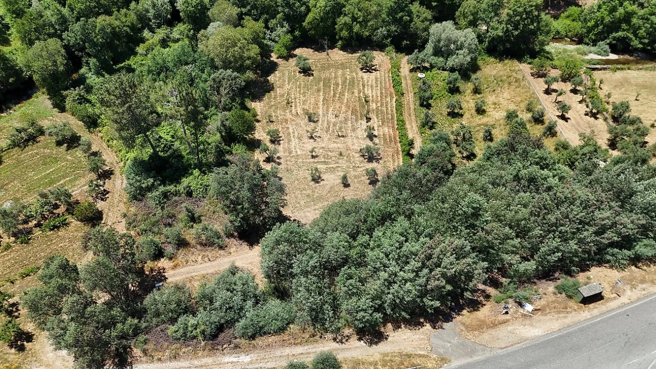 Terreno para Venda em Janeiro de Cima e Bogas de Baixo Foto 9