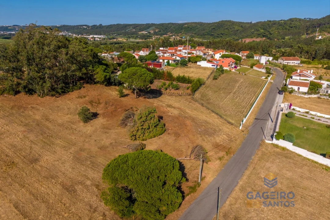 Terreno para Venda em Tornada e Salir do Porto Foto 4
