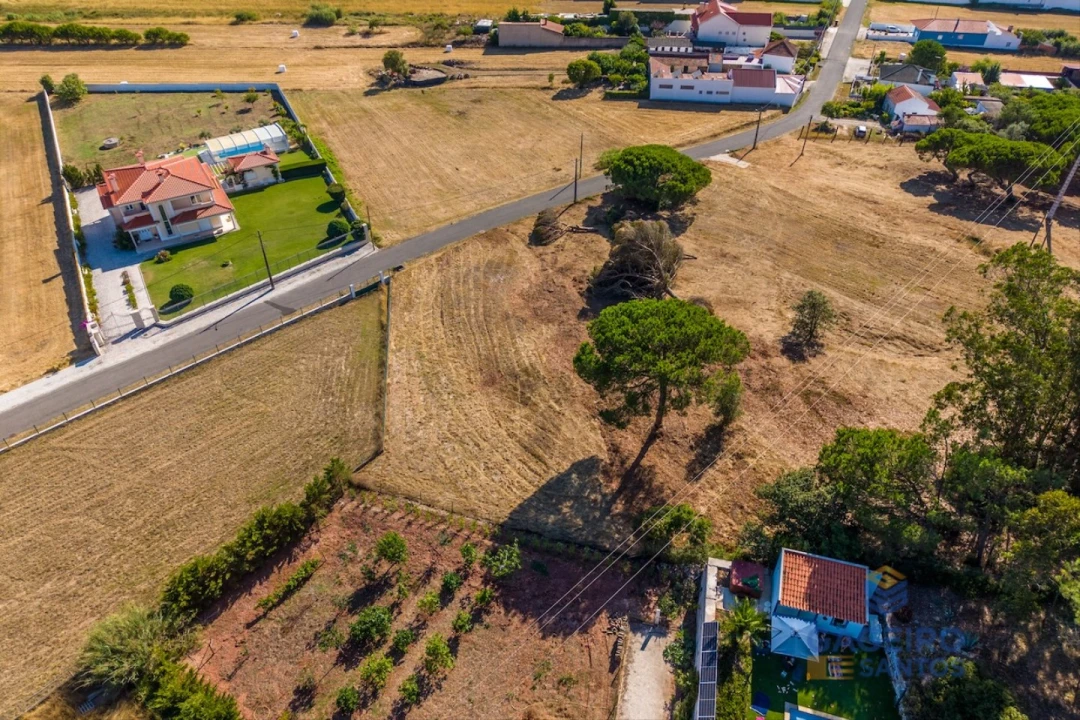 Terreno para Venda em Tornada e Salir do Porto Foto 12