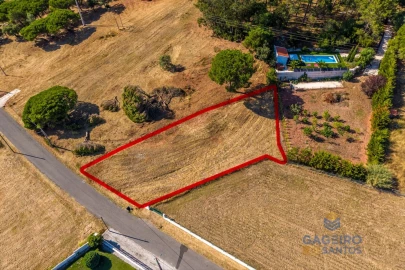 Terreno para Venda em Tornada e Salir do Porto