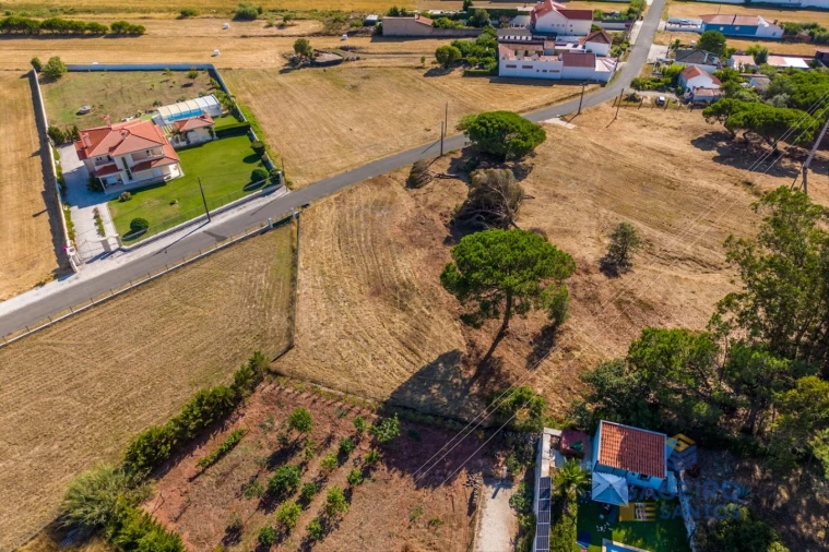 Terreno para Venda em Tornada e Salir do Porto Foto 12