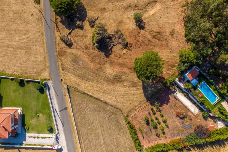 Terreno para Venda em Tornada e Salir do Porto Foto 13
