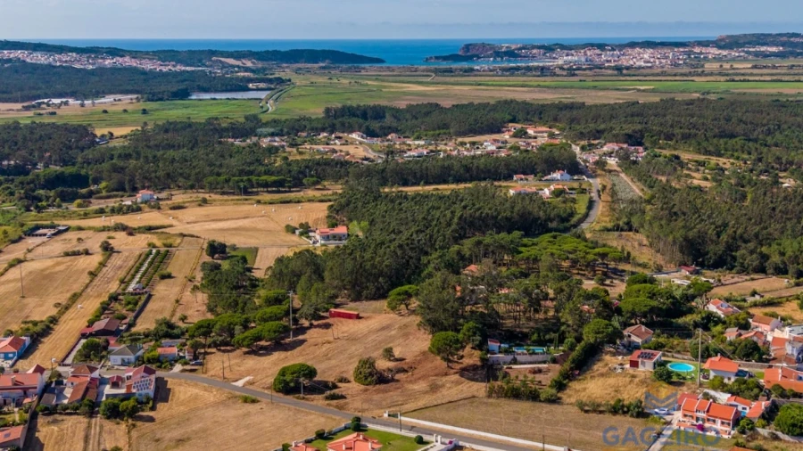 Terreno para Venda em Tornada e Salir do Porto