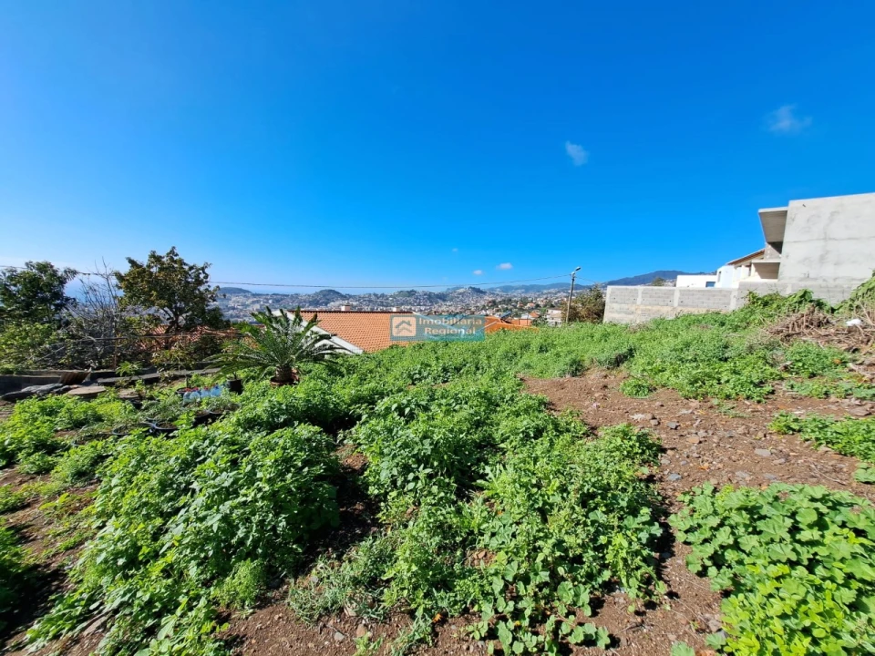 Terreno para Venda em São Roque Foto 4