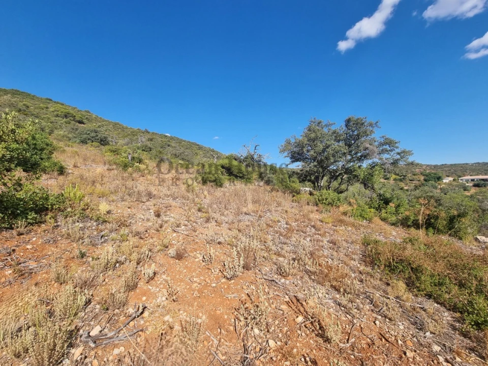 Terreno Agricola ou Rústico para Venda em Conceição e Estoi Foto 5