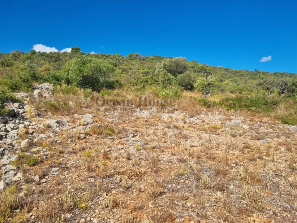 Terreno Agricola ou Rústico para Venda em Conceição e Estoi Foto 6